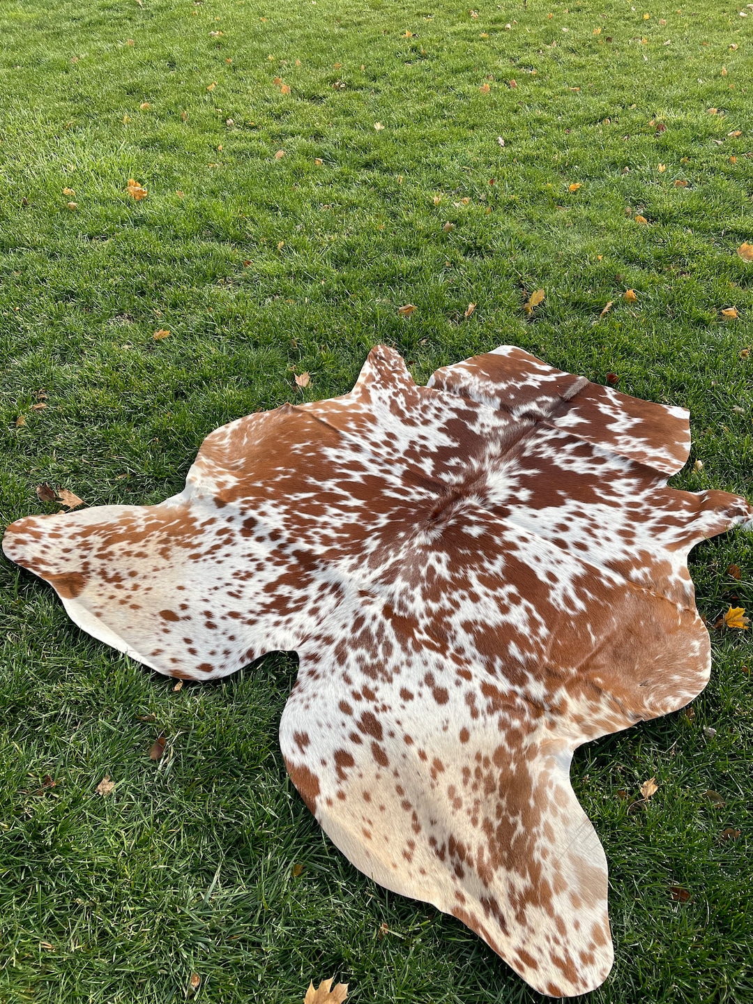 Genuine Tricolor Cowhide Rug, Speckled Brazilian Cow Hide Rug Etsy