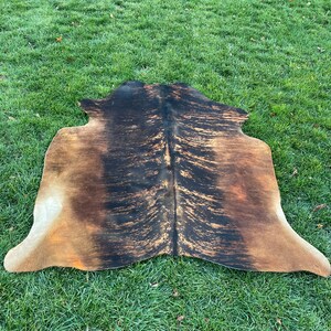 K&ouml;nnte beinhalten: Ein brauner und schwarzer Kuhfellteppich mit einem nat&uuml;rlichen, abgenutzten Look. Der Teppich hat eine lange, flie&szlig;ende Form und ist perfekt, um jedem Raum einen Hauch von rustikalem Charme zu verleihen.