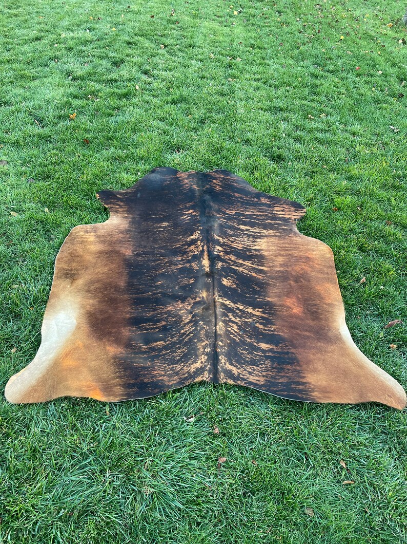 K&ouml;nnte beinhalten: Ein brauner und schwarzer Kuhfellteppich mit einem nat&uuml;rlichen, abgenutzten Look. Der Teppich hat eine lange, flie&szlig;ende Form und ist perfekt, um jedem Raum einen Hauch von rustikalem Charme zu verleihen.