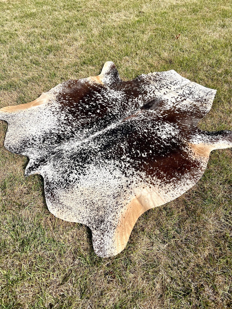 K&ouml;nnte beinhalten: Ein brauner und wei&szlig;er Kuhfellteppich mit schwarzen Flecken. Der Teppich liegt auf einer gr&uuml;nen Grasfl&auml;che.