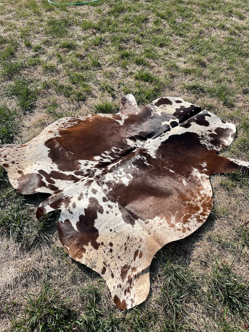 Genuine Tricolor Hair on Cowhide Rug Speckled Brazilian Cow Etsy