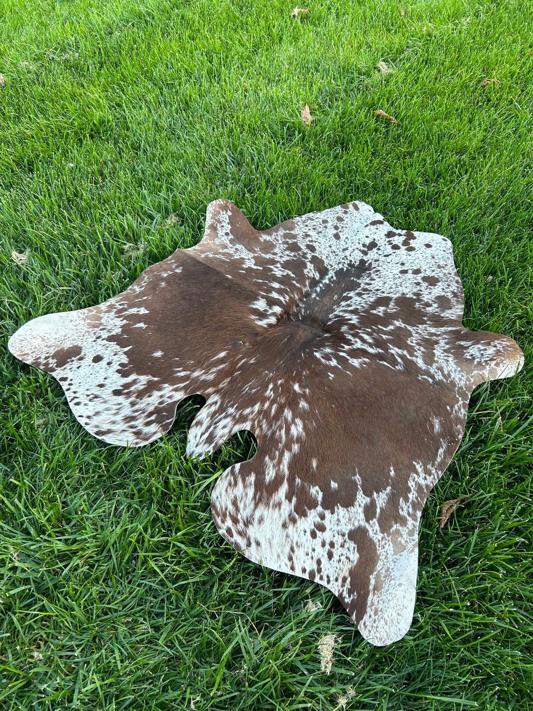 Genuine Hair on Cowhide Rug, Cow Hide Rug Etsy
