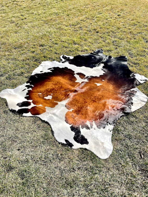 Genuine Tricolor Cowhide Rug, Brazilian Cow Hide Rug Large