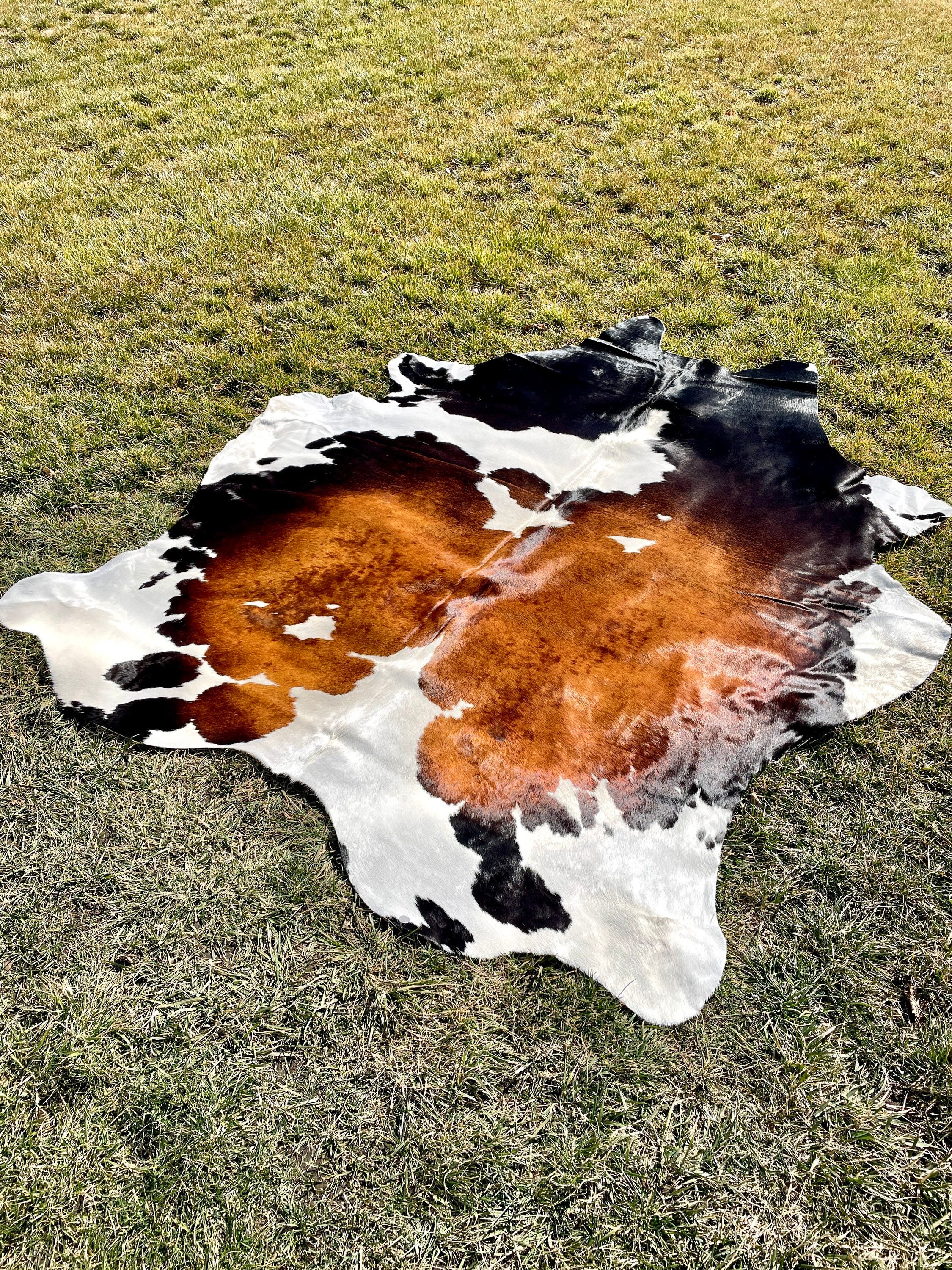 Genuine Tricolor Cowhide Rug, Brazilian Cow Hide Rug Large