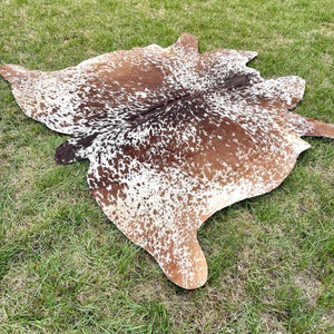 May include: A brown and white cowhide rug with a spotted pattern. The rug is laid out on a green grassy surface.