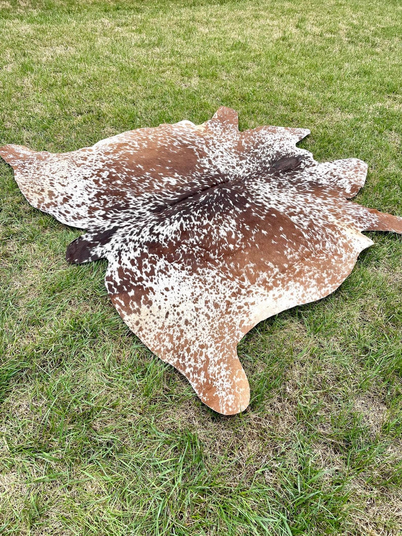 May include: A brown and white cowhide rug with a spotted pattern. The rug is laid out on a green grassy surface.