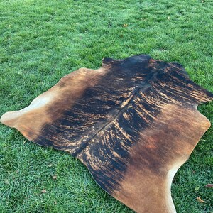 K&ouml;nnte beinhalten: Ein brauner und schwarzer Kuhfellteppich mit einem einzigartigen Muster. Der Teppich liegt auf einer gr&uuml;nen Grasfl&auml;che.