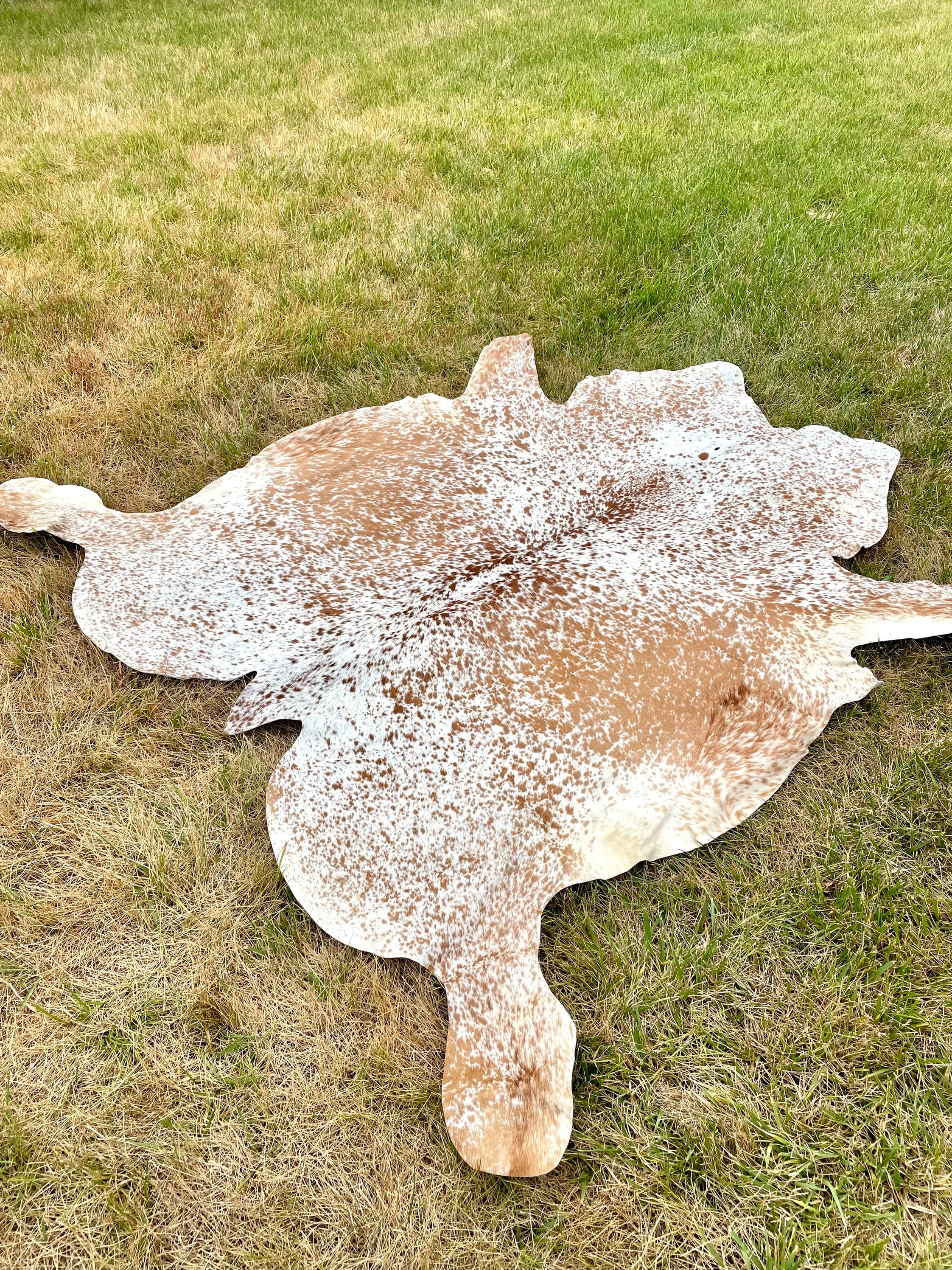Genuine Tricolor Hair on Cowhide Rug, Speckled Brazilian Cow Hide Rug