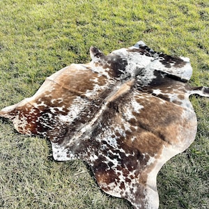 May include: A brown and white cowhide rug with a spotted pattern. The rug is laid out on a green grassy surface.