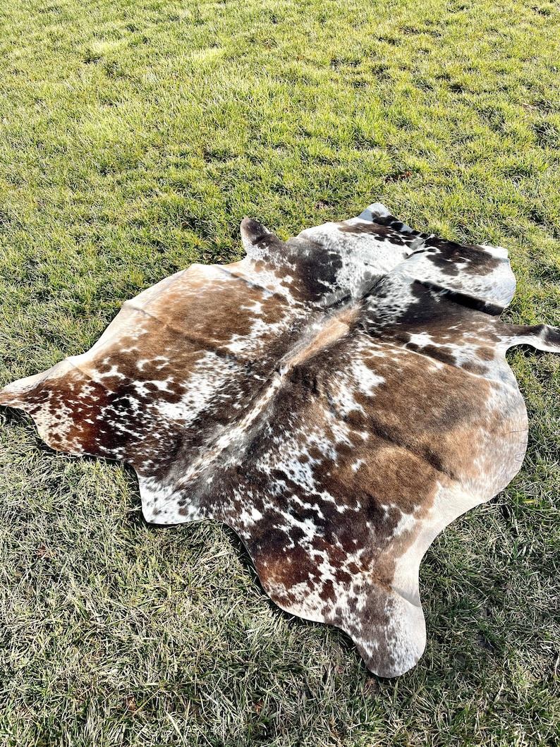 May include: A brown and white cowhide rug with a spotted pattern. The rug is laid out on a green grassy surface.