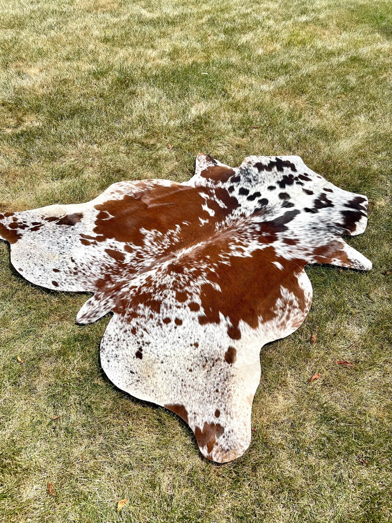 Genuine Tricolor Hair on Cowhide Rug Speckled Brazilian Cow Etsy