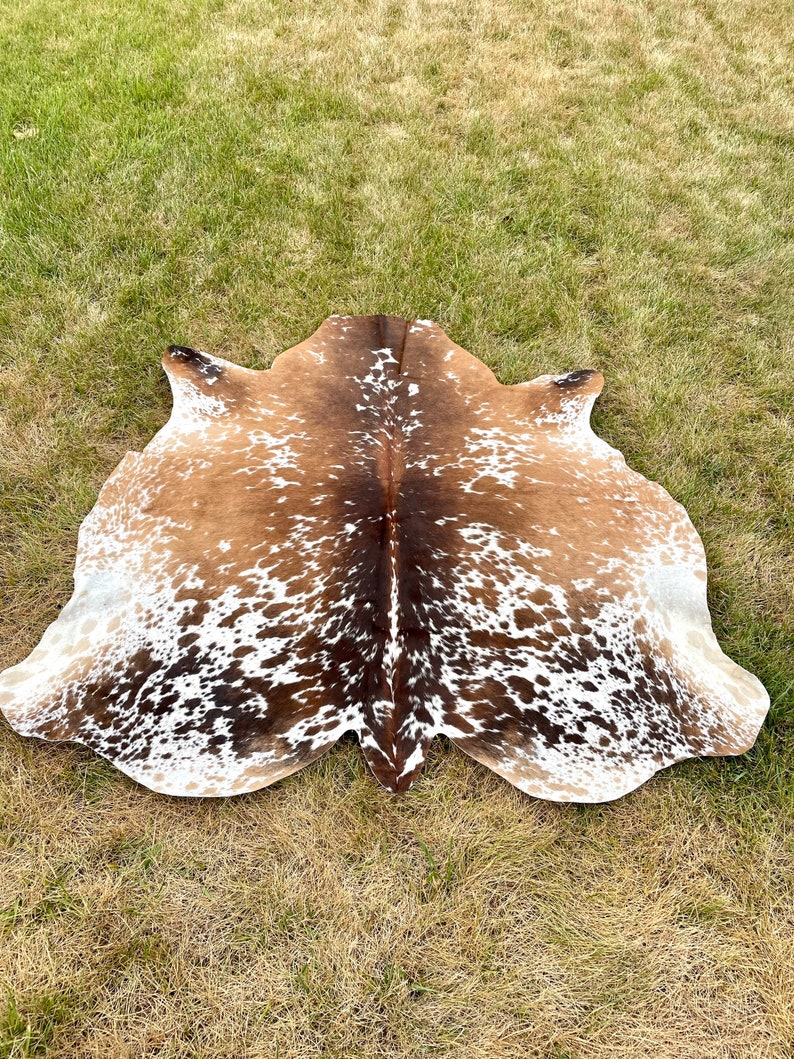 May include: A brown and white cowhide rug with a spotted pattern. The rug is laid out on a grassy surface.