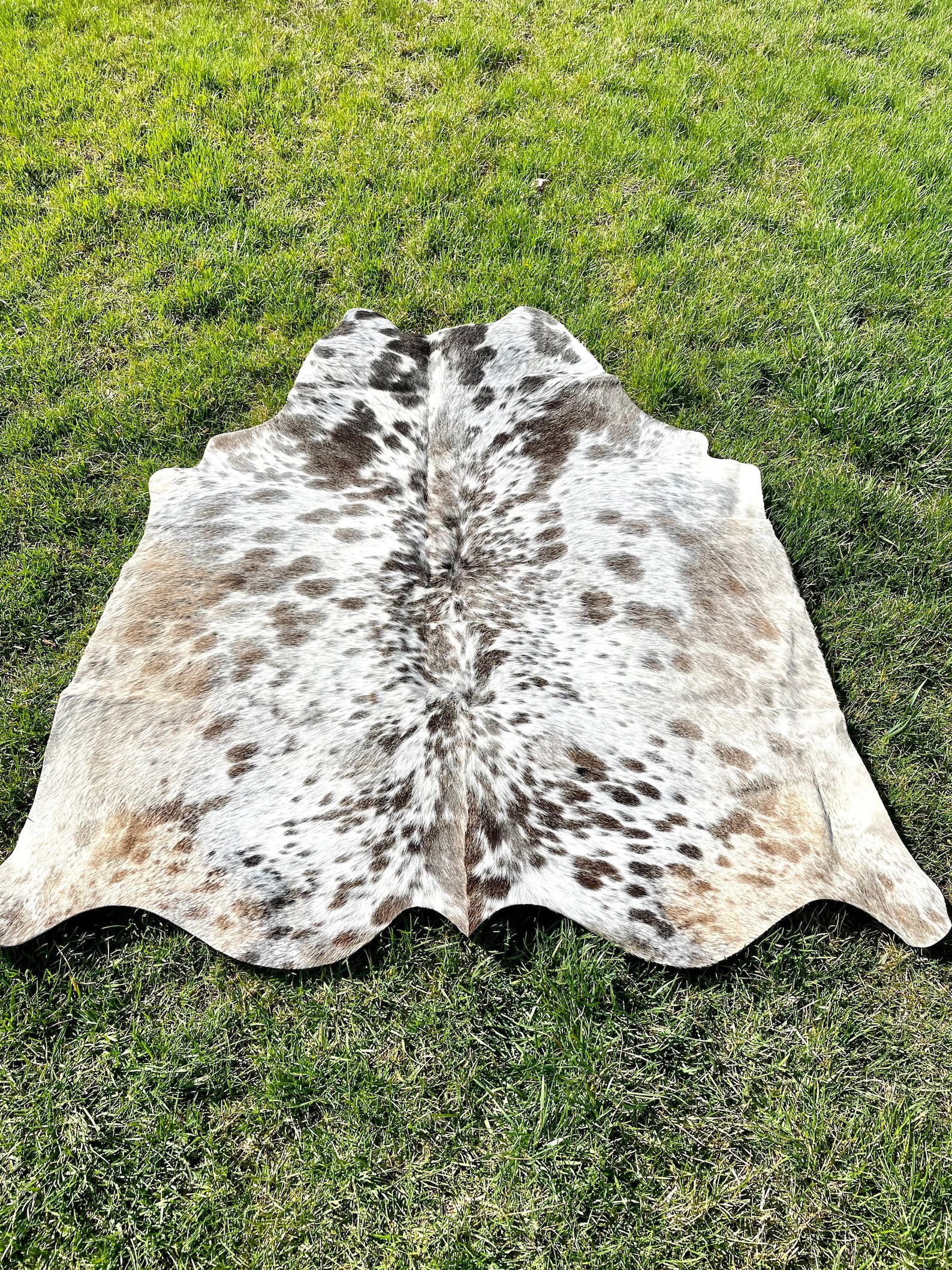 Genuine Tricolor Cowhide Rug, Speckled Brazilian Cow Hide Rug - Etsy