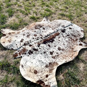 K&ouml;nnte beinhalten: Ein brauner und wei&szlig;er Kuhfellteppich mit einem gefleckten Muster. Der Teppich liegt auf einer grasbewachsenen Fl&auml;che.