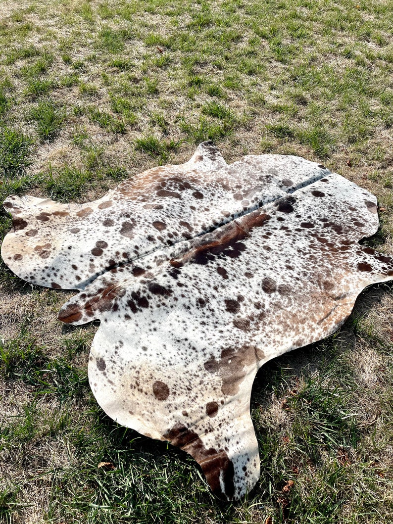 K&ouml;nnte beinhalten: Ein brauner und wei&szlig;er Kuhfellteppich mit einem gefleckten Muster. Der Teppich liegt auf einer grasbewachsenen Fl&auml;che.