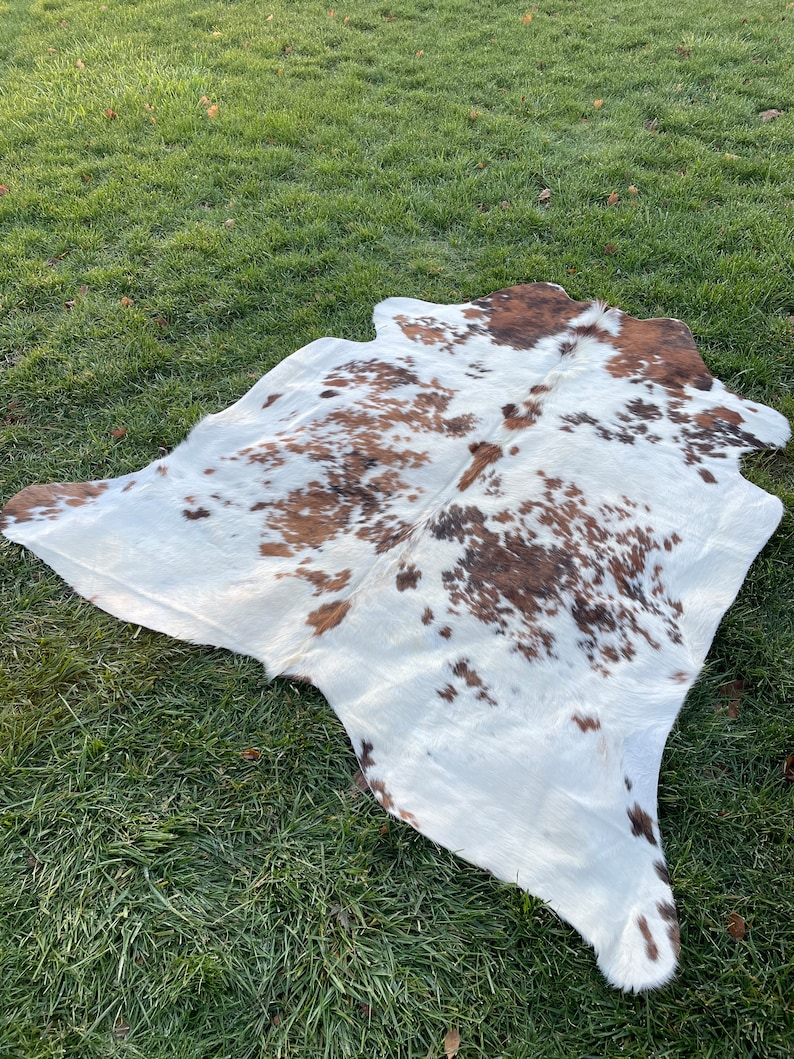 May include: A white cowhide rug with brown and black spots. The rug is laid out on a green grassy surface.
