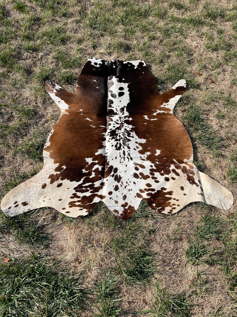 Genuine Tricolor Hair on Cowhide Rug Speckled Brazilian Cow Etsy