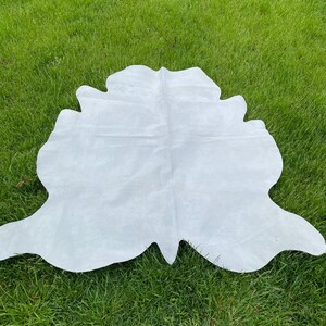May include: A white cowhide rug with a natural, irregular shape. The rug is laid out on a green grassy surface.