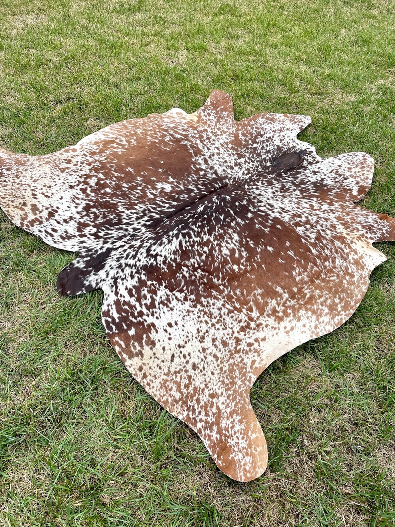May include: A brown and white cowhide rug with a spotted pattern. The rug is laid out on a green grassy surface.