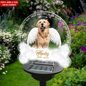 May include: A solar-powered memorial garden stake featuring a photo of a golden retriever dog with angel wings. The text reads "On angels wings you were taken away but in our hearts you will always stay" and "Harley 2010-2024".