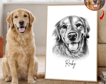 Charcoal Pet Portrait - Custom Charcoal Pet Portrait, Pet Memorial Gift, Dog Drawing,Custom Pet Loss Gift,Drawing From Photo,Memorial Sketch