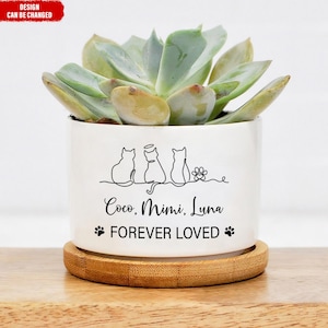 May include: A white ceramic plant pot with a succulent. The pot has a black line drawing of three cats and the words "Coco, Mimi, Luna FOREVER LOVED" with paw prints. It rests on a round wooden coaster.