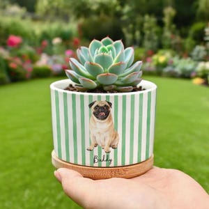 Puede incluir: Una maceta de cerámica con diseño de rayas verdes y blancas, con una ilustración de un pug y el nombre "Buddy". La maceta contiene una planta suculenta y se apoya en un platillo de madera.