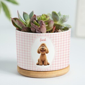May include: A ceramic planter with a pink gingham pattern, holding a succulent plant. The planter features an oval design with a cartoon dog and the word "Luck". The planter sits on a round wooden base.