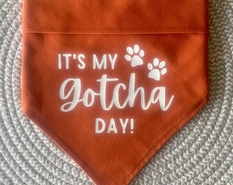 Gotcha Day!