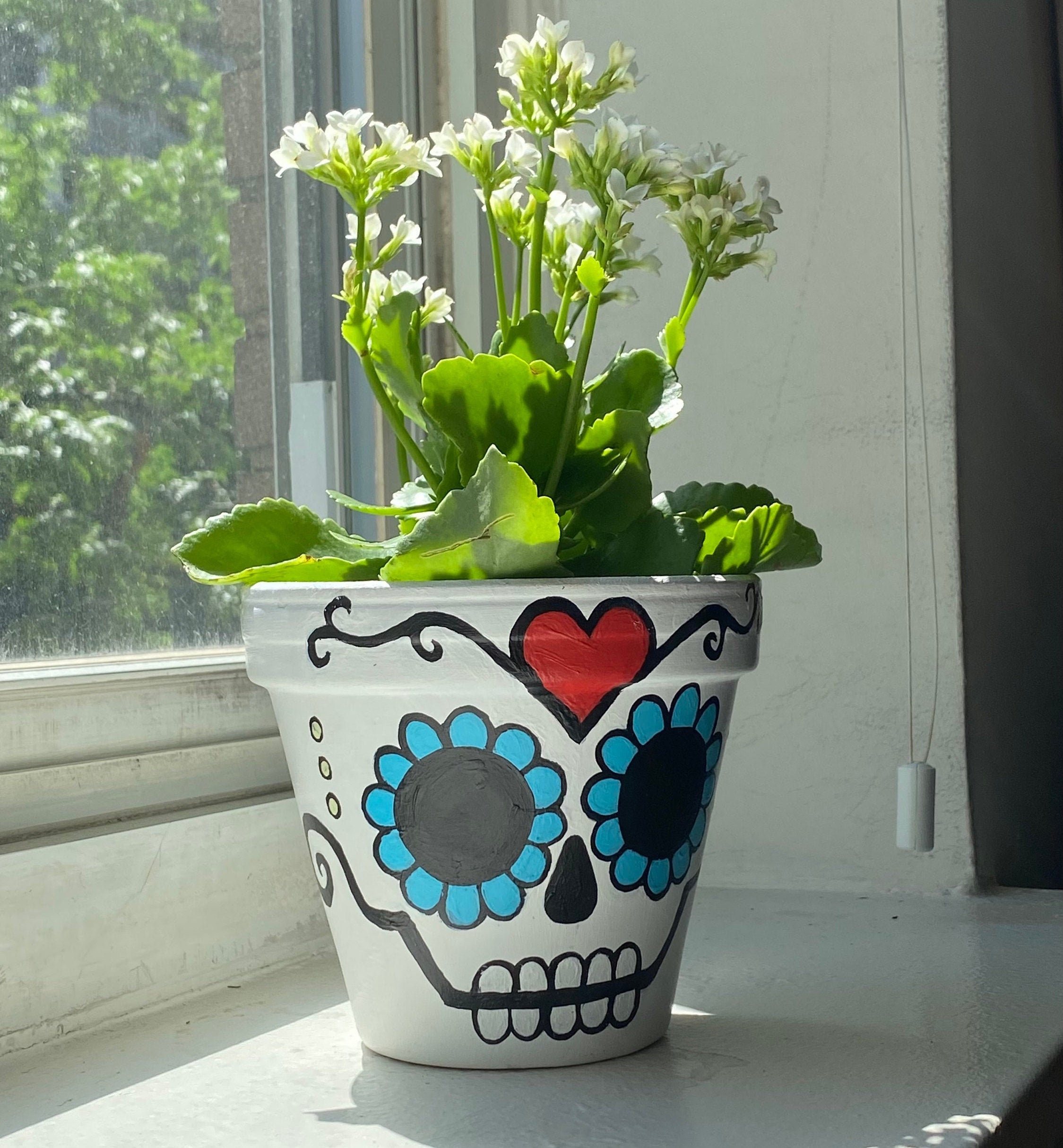 Sugar the Ranking Dead Halloween Planter TOP5 Pot Skull Succulent Day