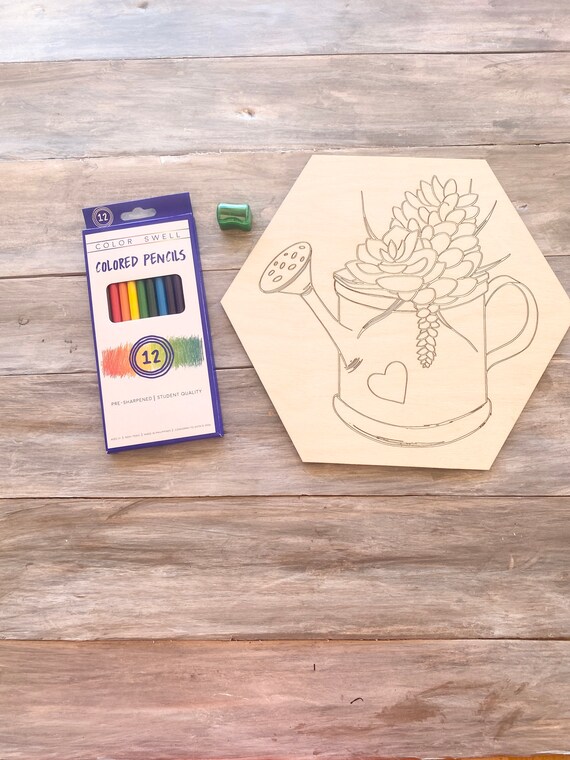 11 Inch Succulent Diy Paint Kit Easy Paint Kits Diy Adult Etsy