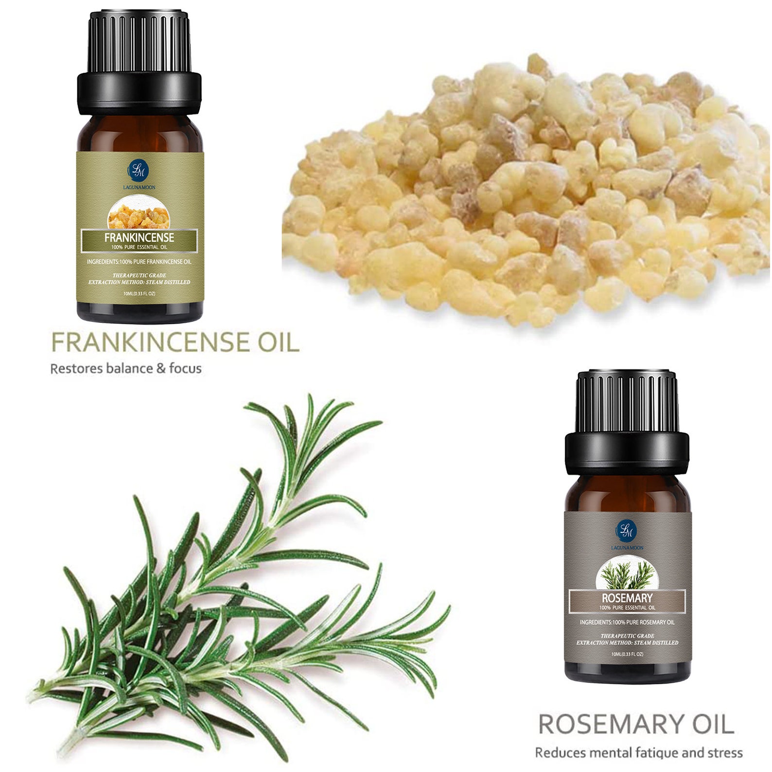 Lagunamoon Essential Oil Set of 6 10ML Lavender Peppermint Etsy