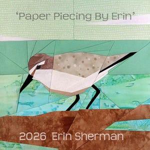 Patrón de patchwork de papel para aves playeras correlimos