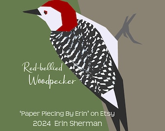 Patrón de paper piecing de pájaro carpintero de vientre rojo