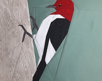 Patrón de paper piecing de pájaro carpintero de cabeza roja
