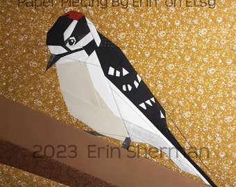 Patrón de paper piecing de pájaro carpintero peludo o suave