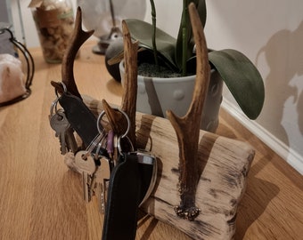 Solid oak and real antler key holder/dog lead hanger
