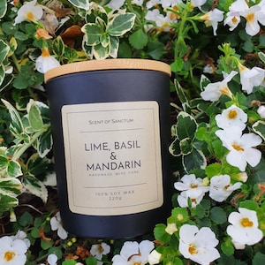 Lime, Basil & Mandarin scented soy candle. 100% soy and vegan. Eco-friendly. Citrus scented candle. Clean spring scent.