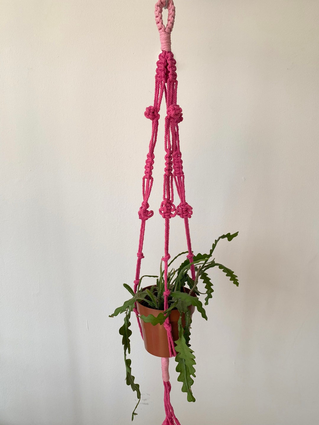 Fuschia Pink Plant Hanger Hot Pink and Baby Pink Accent Loop Etsy