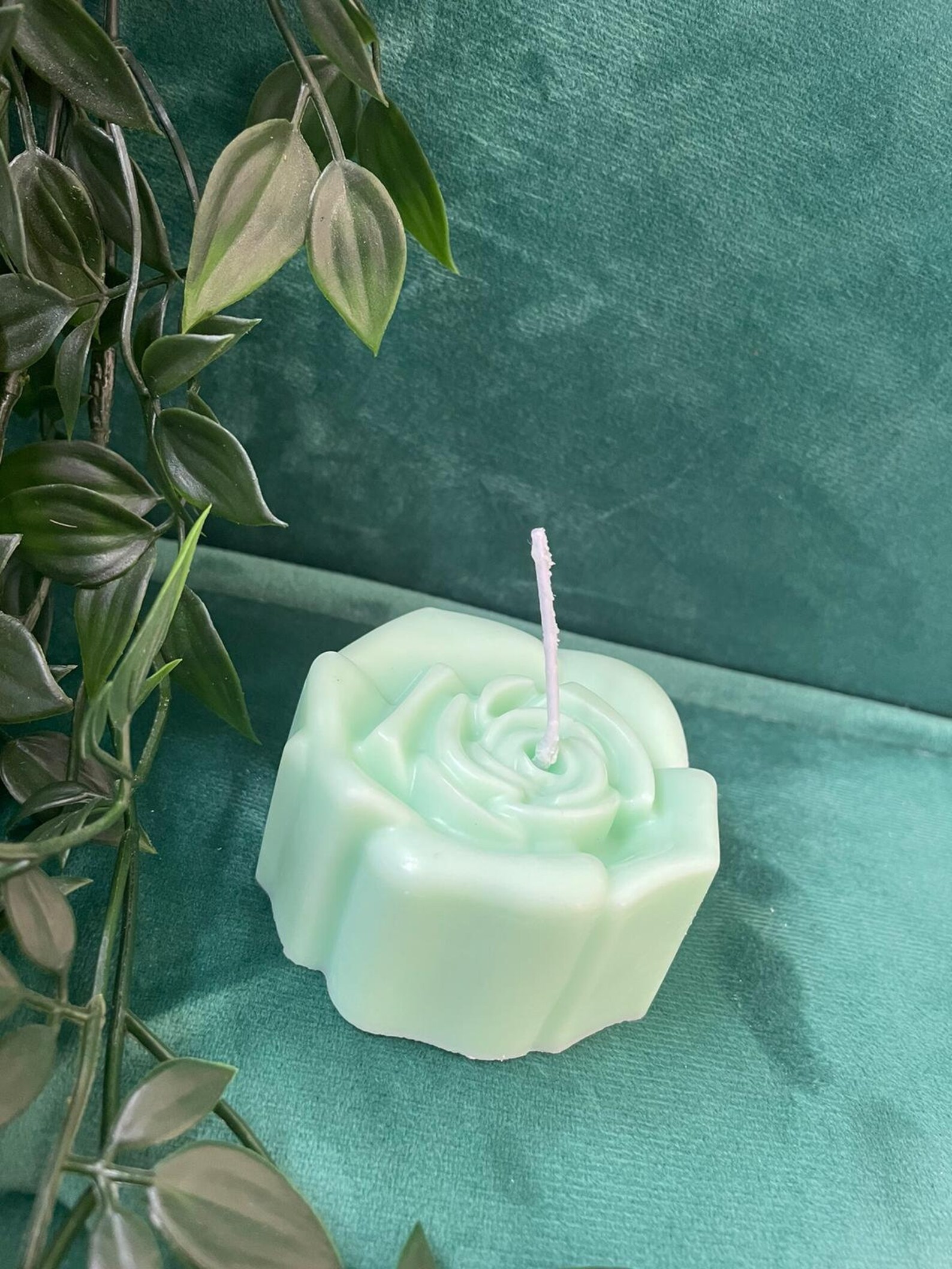 Eucalyptus Scented Handmade Candles Etsy