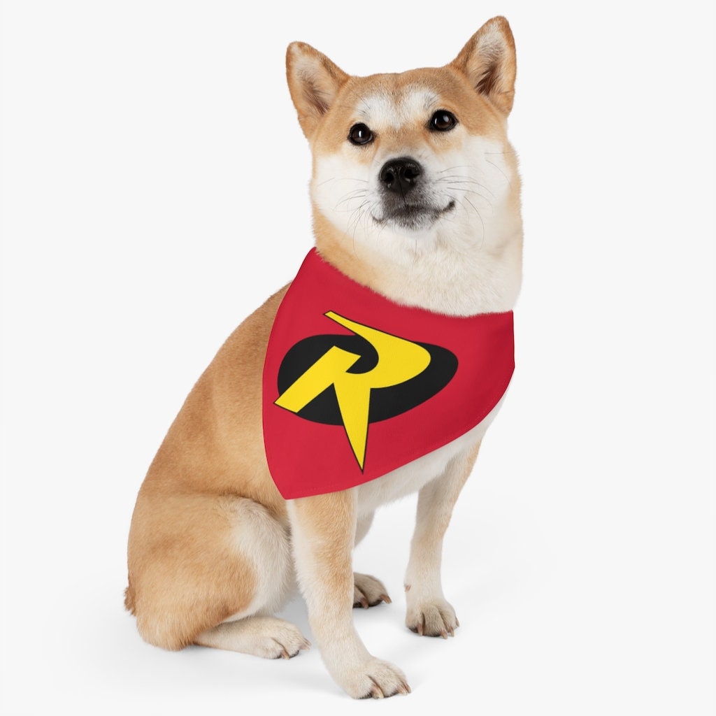 small dog robin costume
