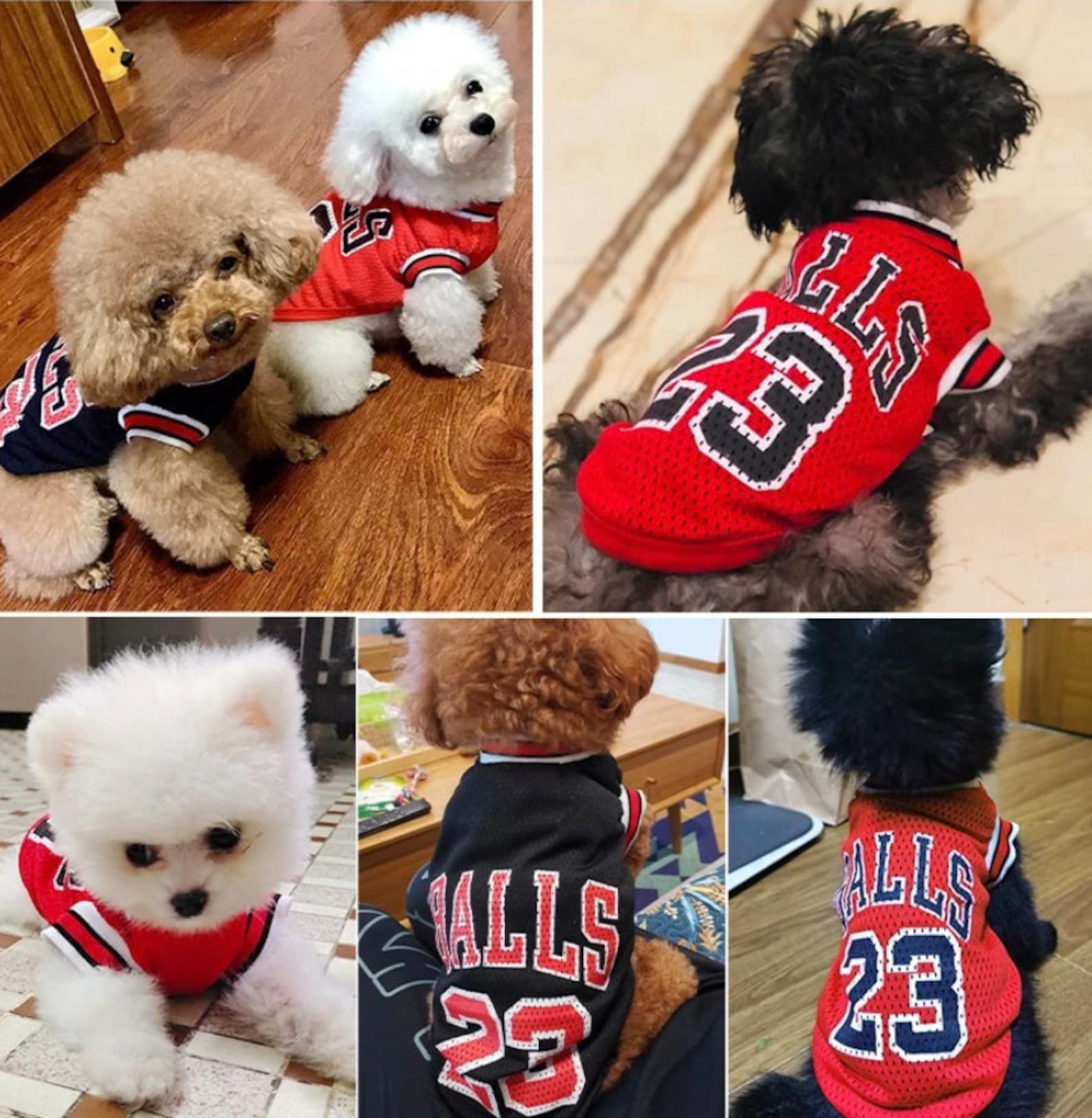 Dog Basketball Costume Dog Jordans and Dog Jersey designer Etsy