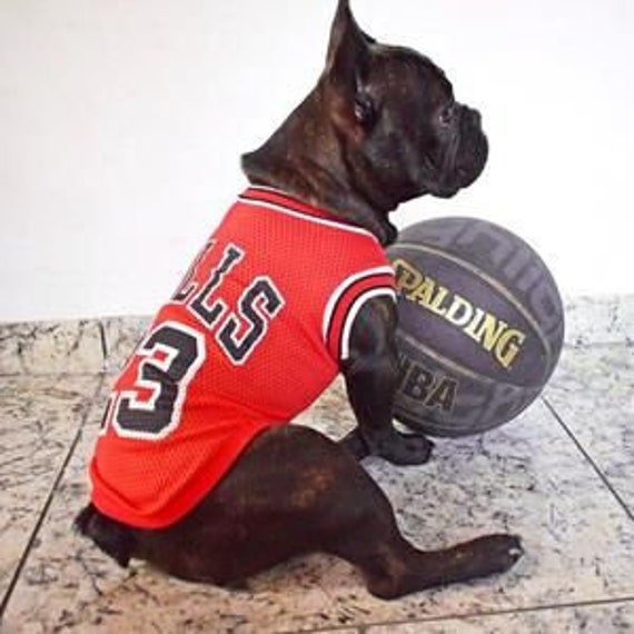 Dog Basketball Jersey Shirt Dog Mesh Breathable T-shirt for - Etsy Hong Kong