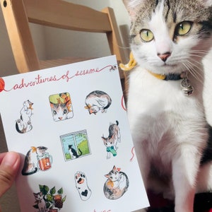 Adventures of Sesame Sticker Sheet | Kiss-Cut Stickers for Planner or Journaling, Cute Cat Kitten Pet Illustration