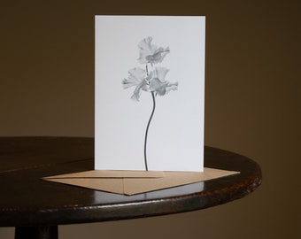 Flower Greeting Card - Blank Card - Floral Card - Birthday Card - Notelet - Photography - Botanical Hue - Lathyrus odoratus, ‘Erewhon'