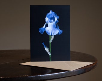 Flower Greeting Card - Blank Card - Floral Card - Birthday Card Notelet - Photography - Botanical Hue - Iris 'Jane Phillips'