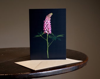 Flower Greeting Card - Blank Card - Floral Card - Birthday Card Notelet - Photography - Botanical Hue - Lupinus 'Rachel de Thame'