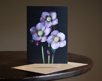 Flower Greeting Card - Blank Card - Floral Card - Birthday Card Notelet - Photography - Botanical Hue - Helleborus orientalis