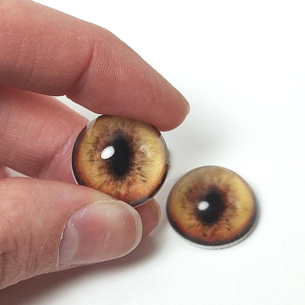 Choisissez une taille, Yeux de renard brun doré, Yeux de taxidermie sur verre