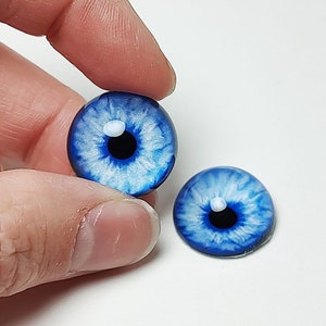 May include: Two blue glass eyes with white irises and black pupils. The eyes are round and have a glossy finish.